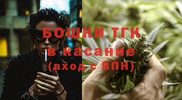 гашик Алексеевка