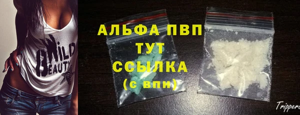 гидропоника Бородино