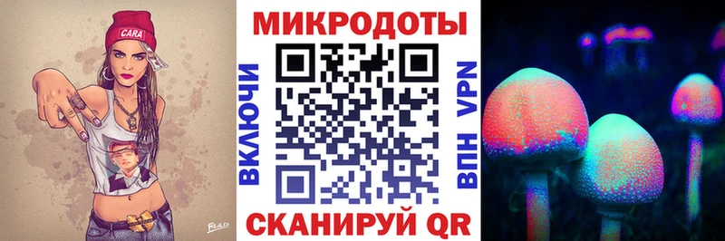 купить закладку  Кувшиново  Галлюциногенные грибы Magic Shrooms 